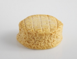 Cheeses of the world - Ami du Chambertin